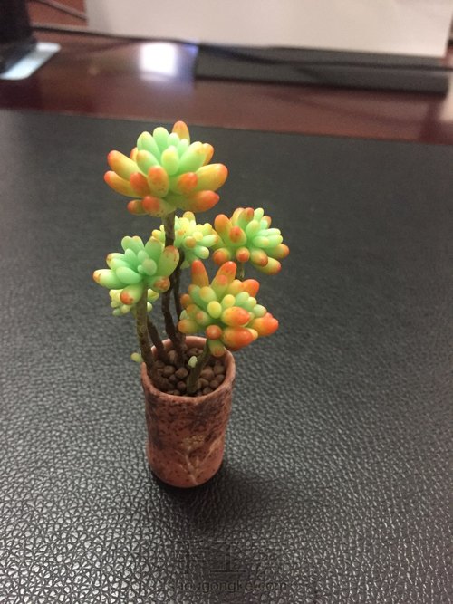 粘土肉肉mini盆栽 第34步