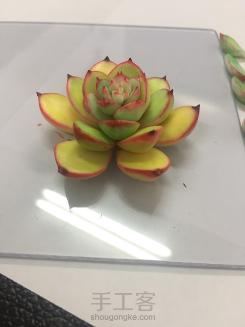 树脂多肉盆栽 第35步