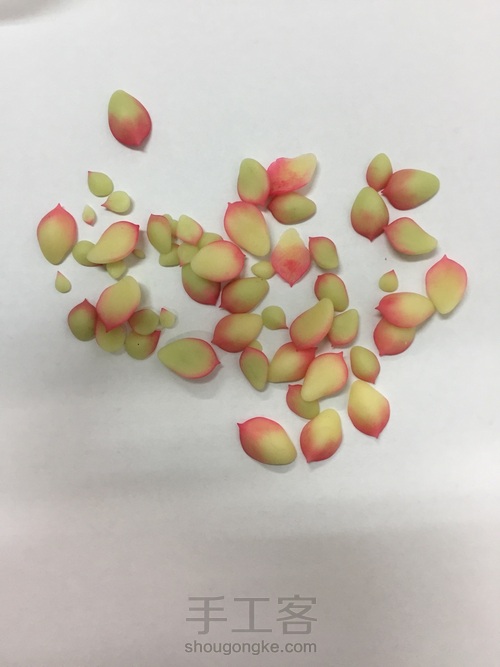 多肉饰品 第13步