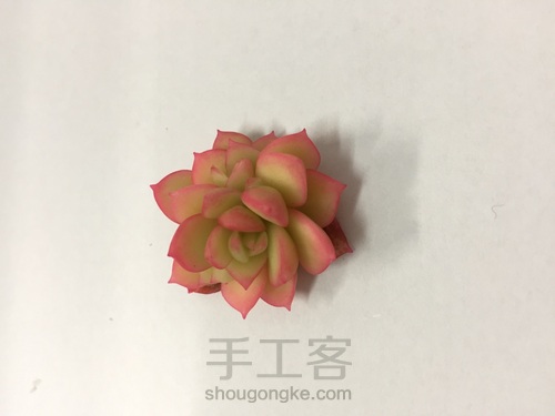 多肉饰品 第14步