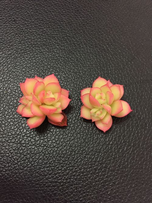 多肉饰品 第16步