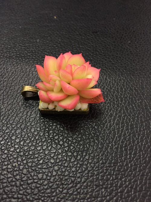 多肉饰品 第20步