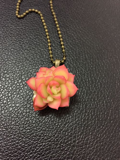 多肉饰品 第21步