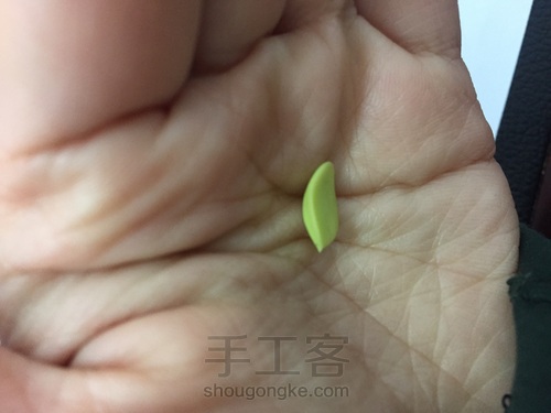 碧桃杂盆 第7步