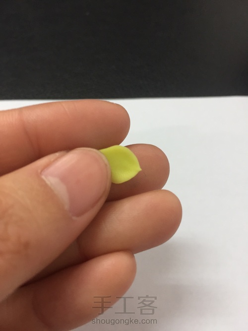 碧桃杂盆 第9步