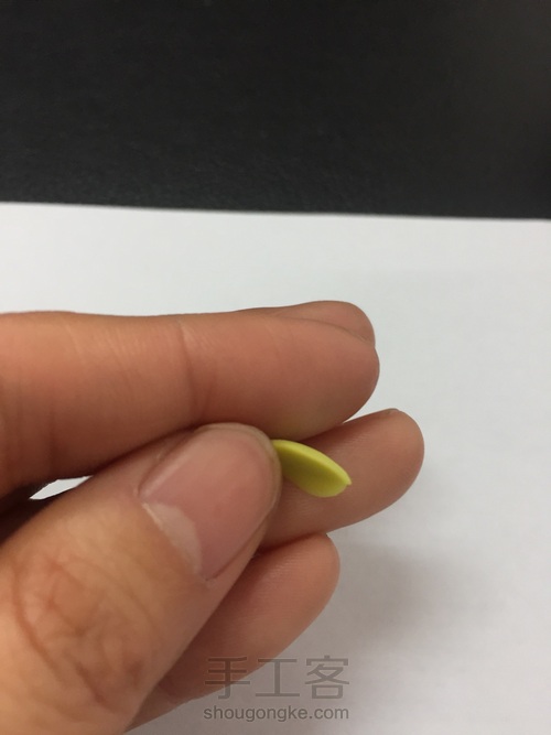 碧桃杂盆 第10步