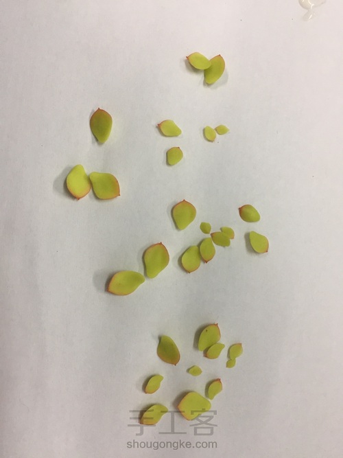 碧桃杂盆 第15步