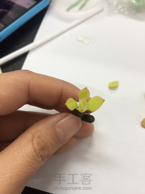 碧桃杂盆 第16步