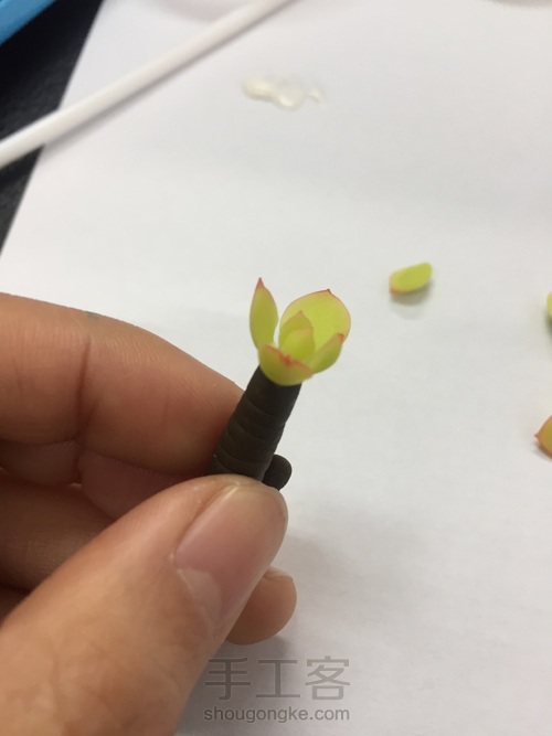 碧桃杂盆 第17步