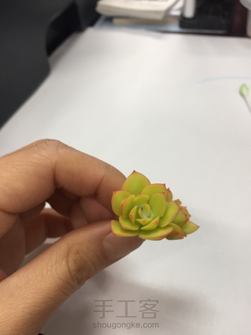 碧桃杂盆 第18步