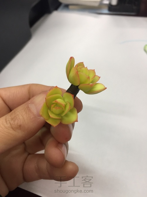 碧桃杂盆 第19步