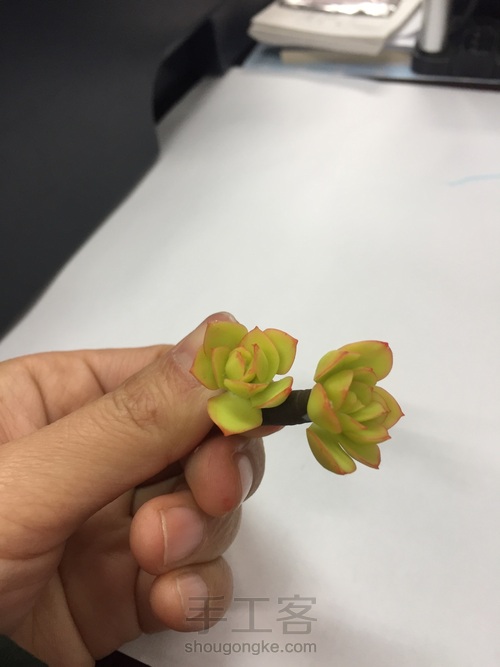 碧桃杂盆 第20步