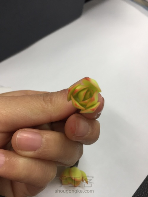 碧桃杂盆 第21步