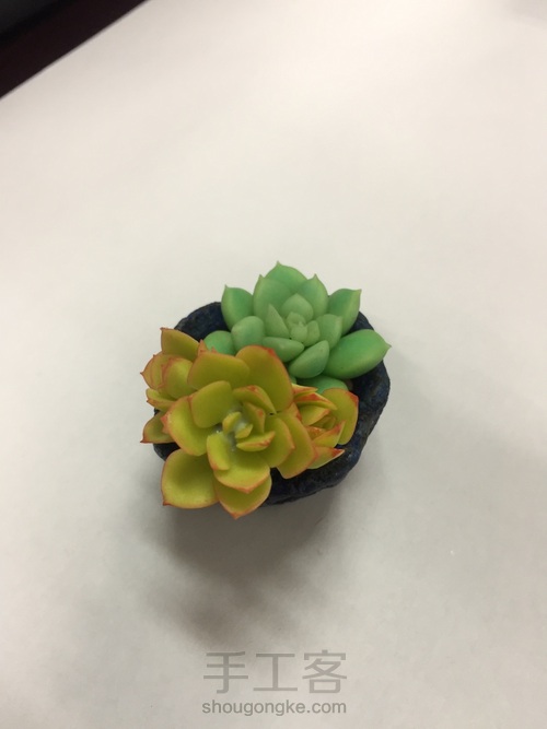 碧桃杂盆 第23步