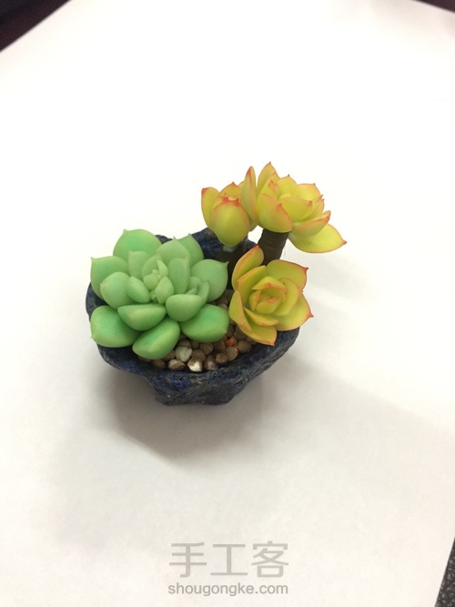 碧桃杂盆 第24步