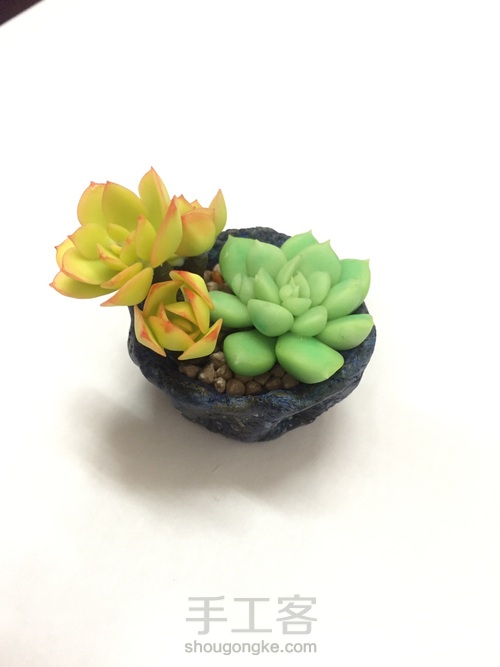 碧桃杂盆 第25步