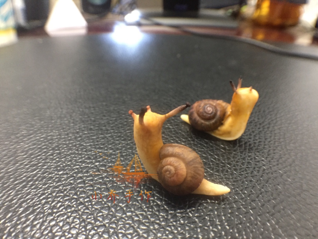 来捏一只可爱的小蜗牛吧！
虽然背着那重重的壳，但不仍然勇往直前