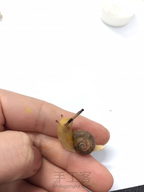 小蜗牛 第32步