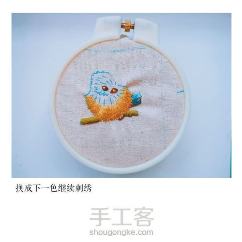 崔西的鸟（一） 第7步