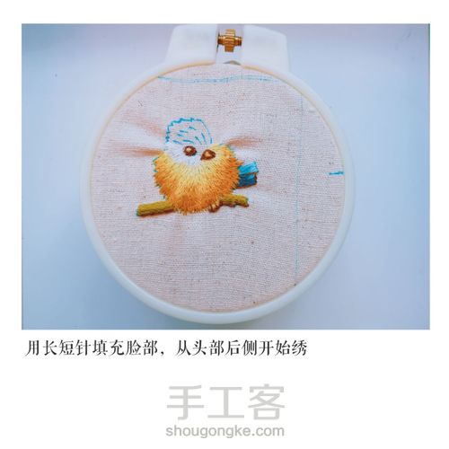 崔西的鸟（一） 第9步