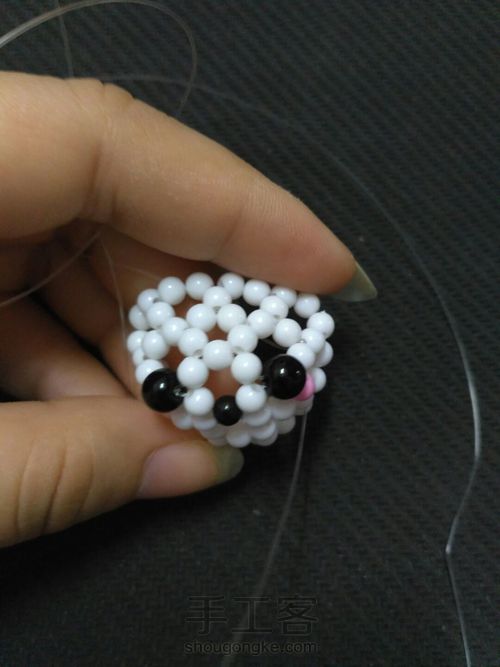 萌萌哒海狮 第12步