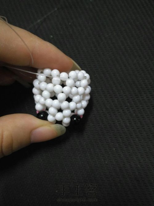 萌萌哒海狮 第20步