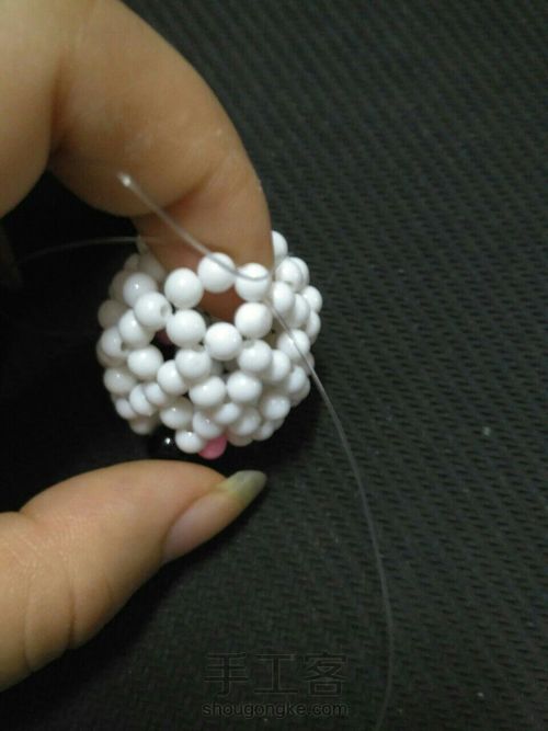 萌萌哒海狮 第21步