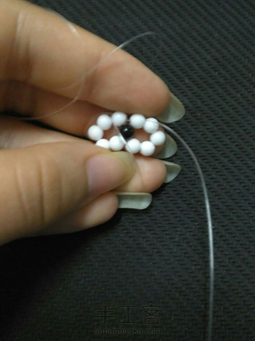 萌萌哒海狮 第4步