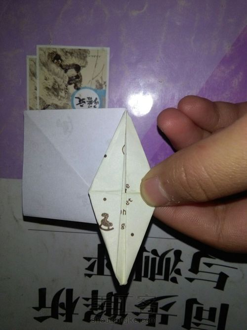 孔雀 第10步