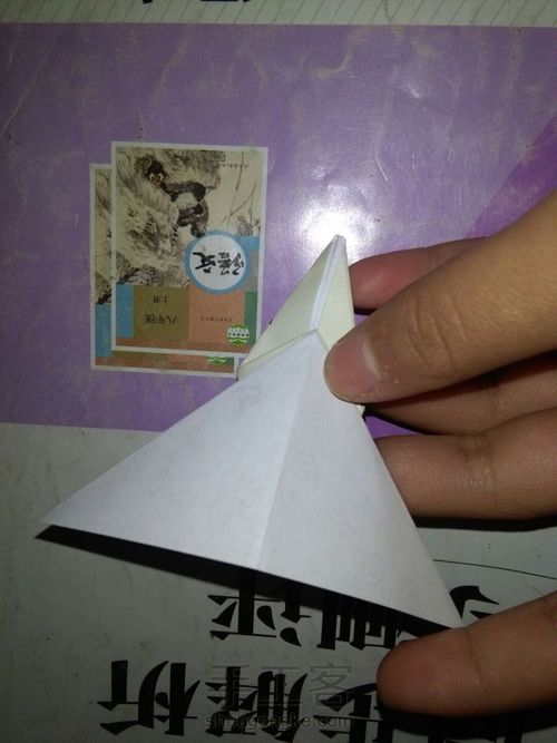孔雀 第13步