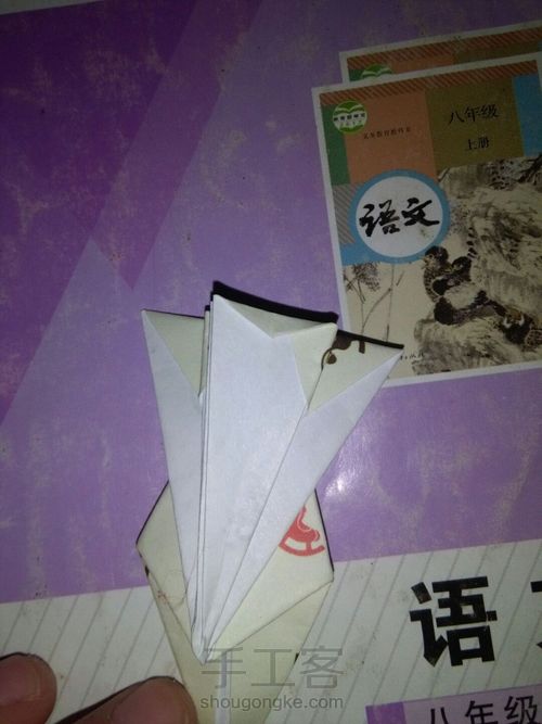 孔雀 第20步