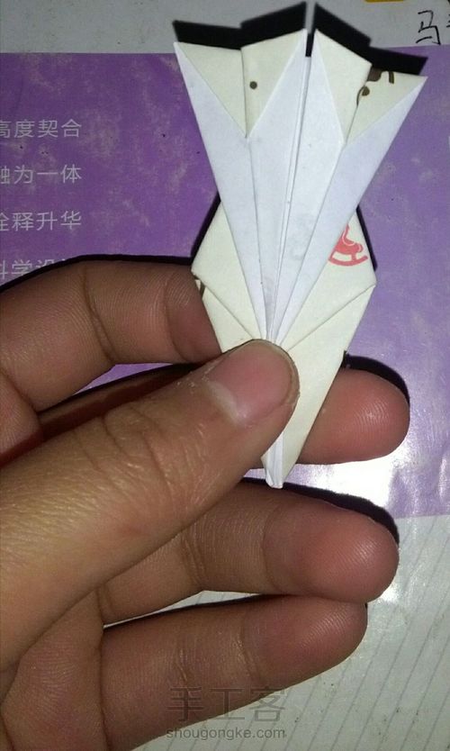 孔雀 第17步