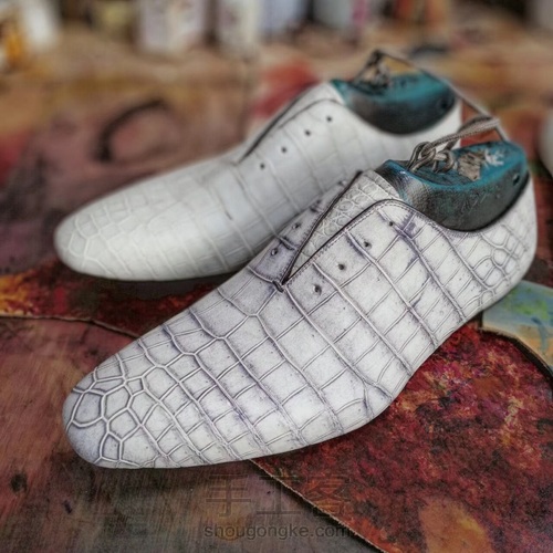 一双鞋、一种染色、一种护理、一种穿着 第25步