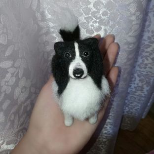 羊毛毡边牧狗狗