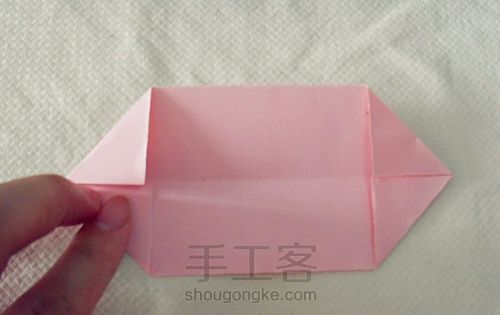 清香白莲--折纸详细 第4步