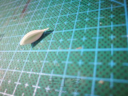 脑洞大开的细工花手机壳 第7步