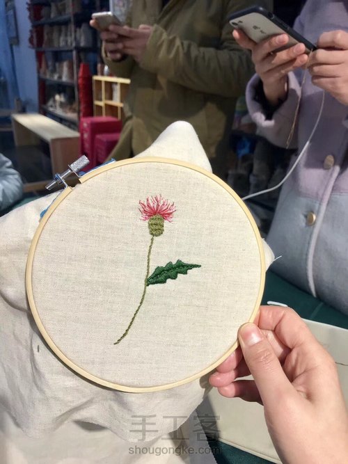 植物图谱壁挂 第4步