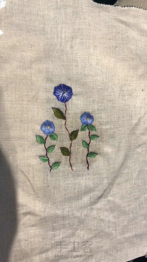 植物图谱壁挂 第6步