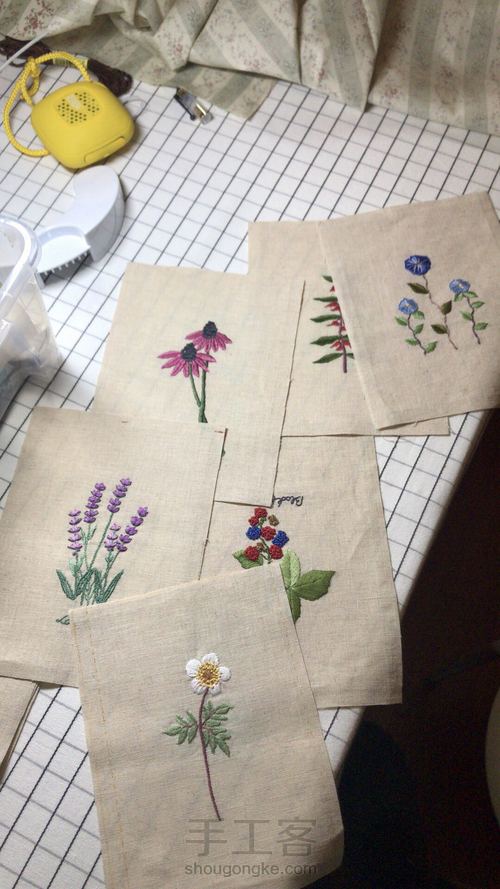 植物图谱壁挂 第7步