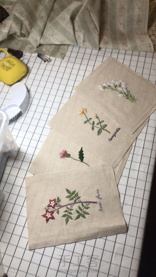 植物图谱壁挂 第8步