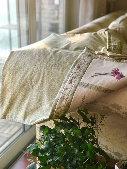 植物图谱壁挂 第12步