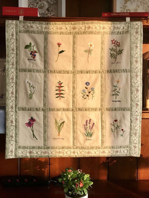 植物图谱壁挂 第10步