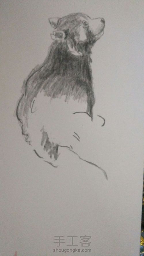 铅笔画，速写， 第5步