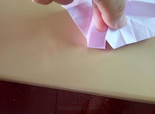 川崎玫瑰 第42步