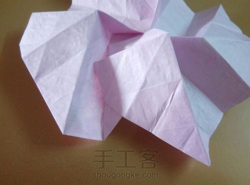 川崎玫瑰 第43步