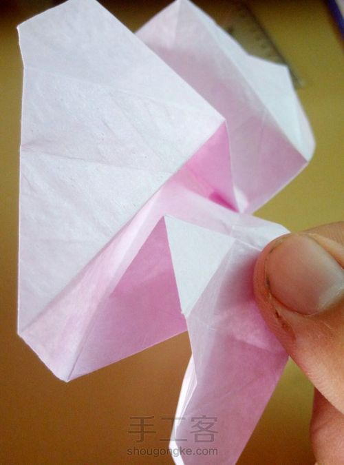 川崎玫瑰 第45步