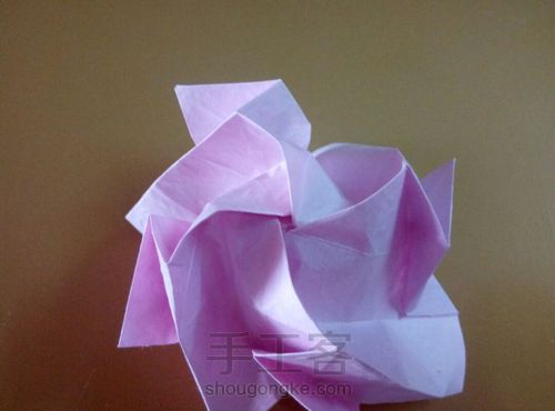 川崎玫瑰 第48步