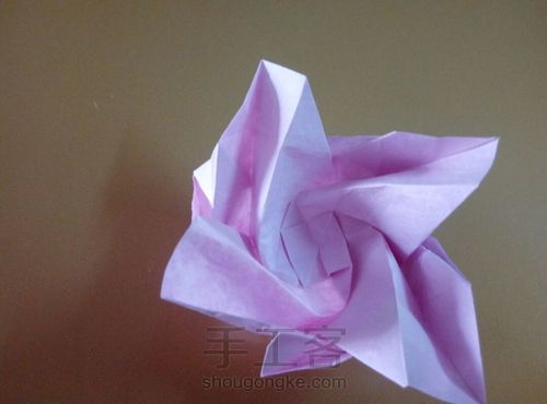 川崎玫瑰 第49步