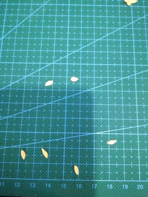 超简单的多肉教程 第12步