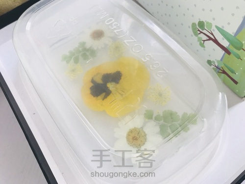 鲜花手机壳 第6步